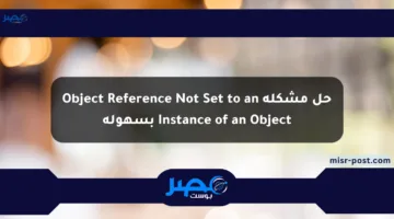 حل مشكلة Object Reference Not Set to an Instance of an Object بسهولة